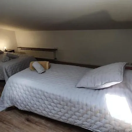 De 420 Metres Carres Dans Chateau L'ange Au Violon Jusqu'a 13 Couchages Hotel