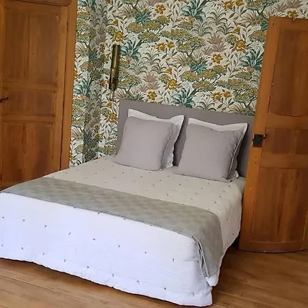 Hotel De 420 Metres Carres Dans Chateau L'ange Au Violon Jusqu'a 13 Couchages *
